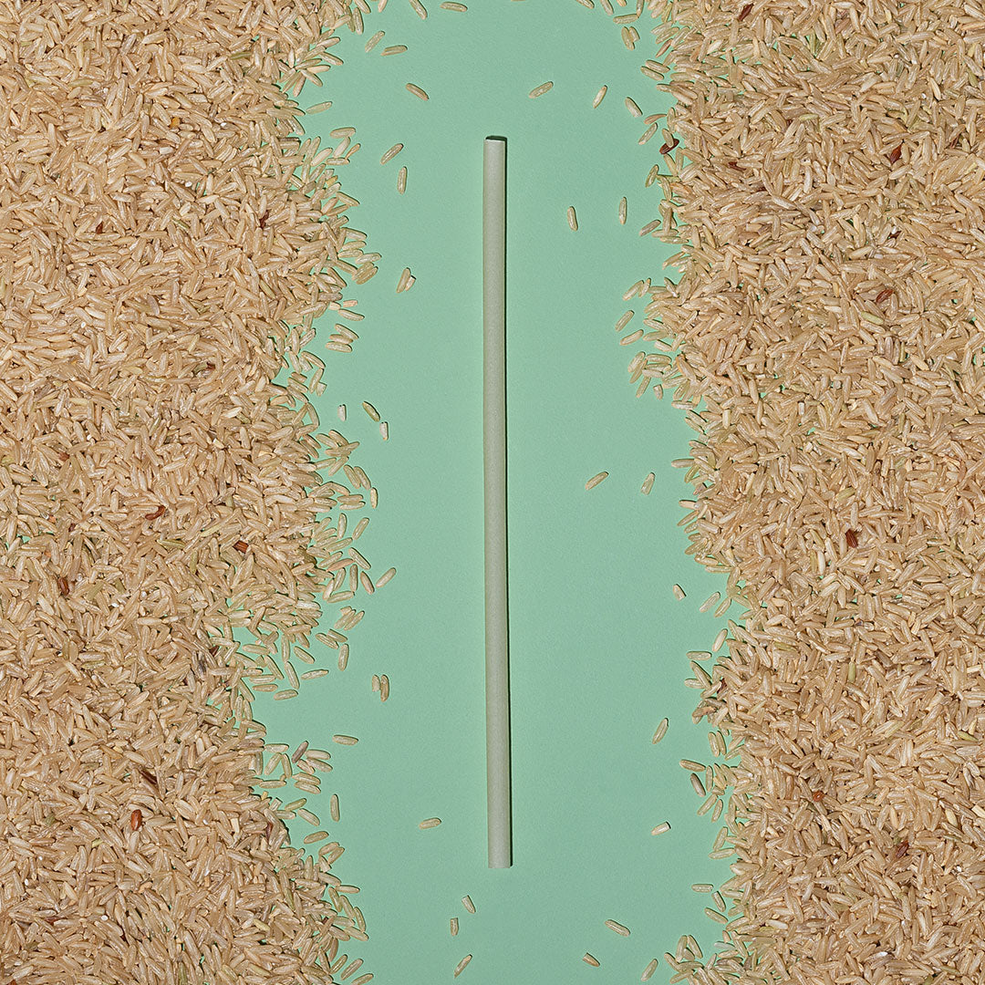 The Rice Straw - Biodegradable straws